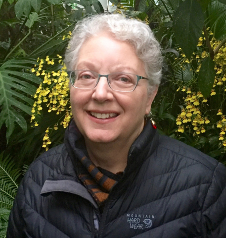 Profile picture for user Jo Anne Smith